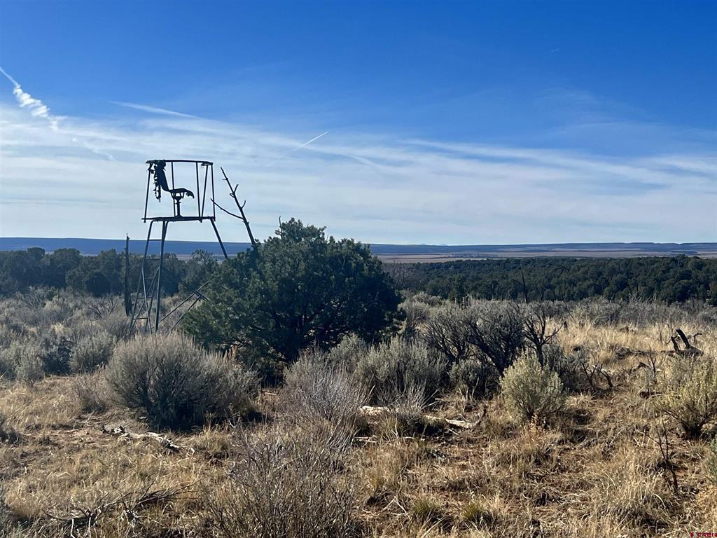 000 Akati Gulch Road Property Photo 34