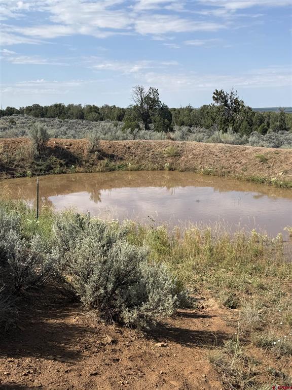 000 Akati Gulch Road Property Photo 40