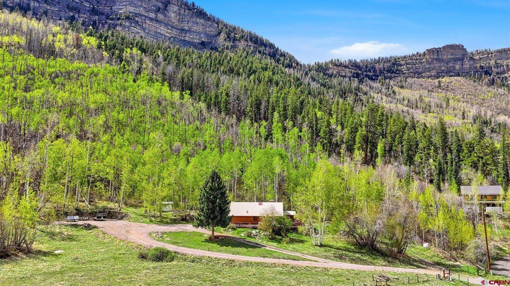 43681 Highway 550 Property Photo 2