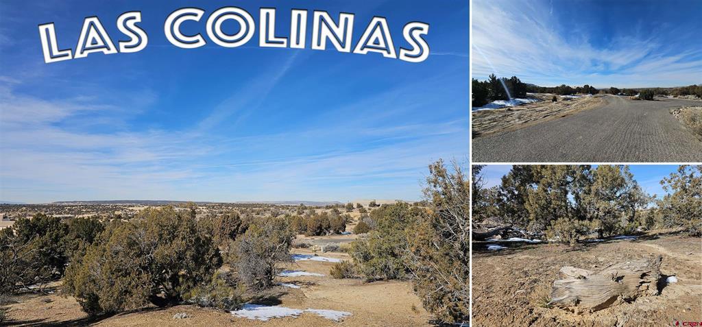 1811 Placitas Trail