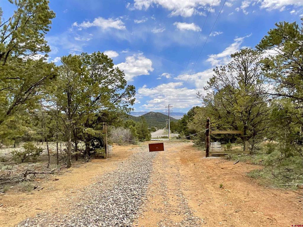 6101 County Road 1 Road Property Photo 3