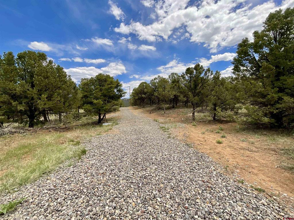 6101 County Road 1 Road Property Photo 4