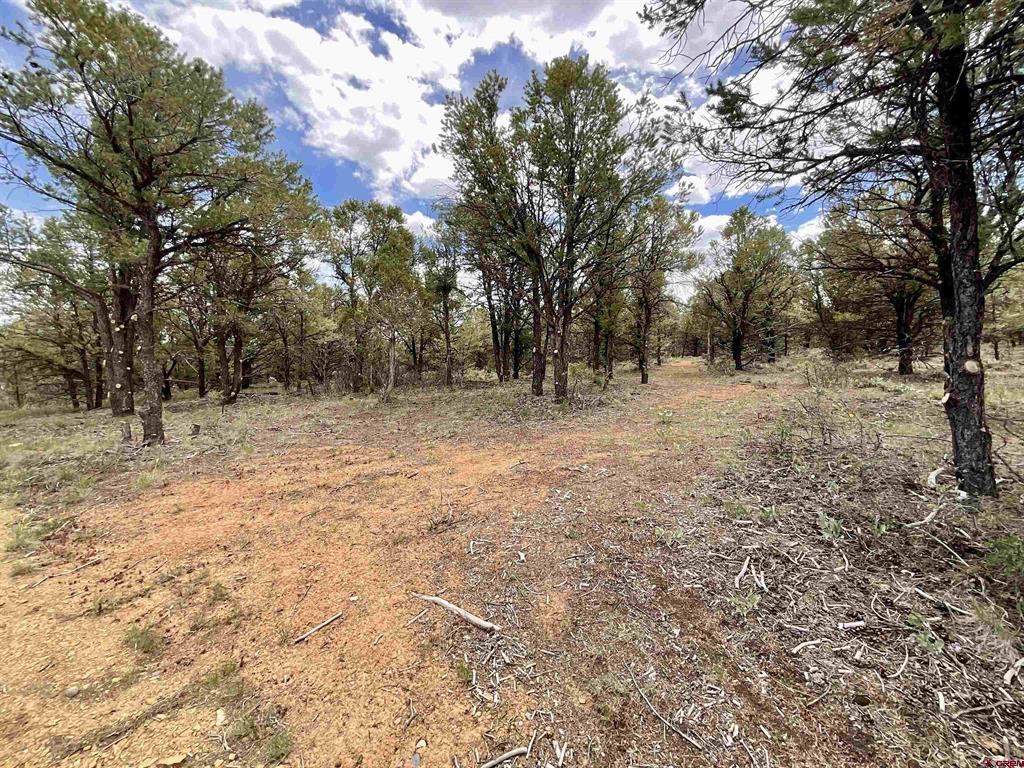 6101 County Road 1 Road Property Photo 5