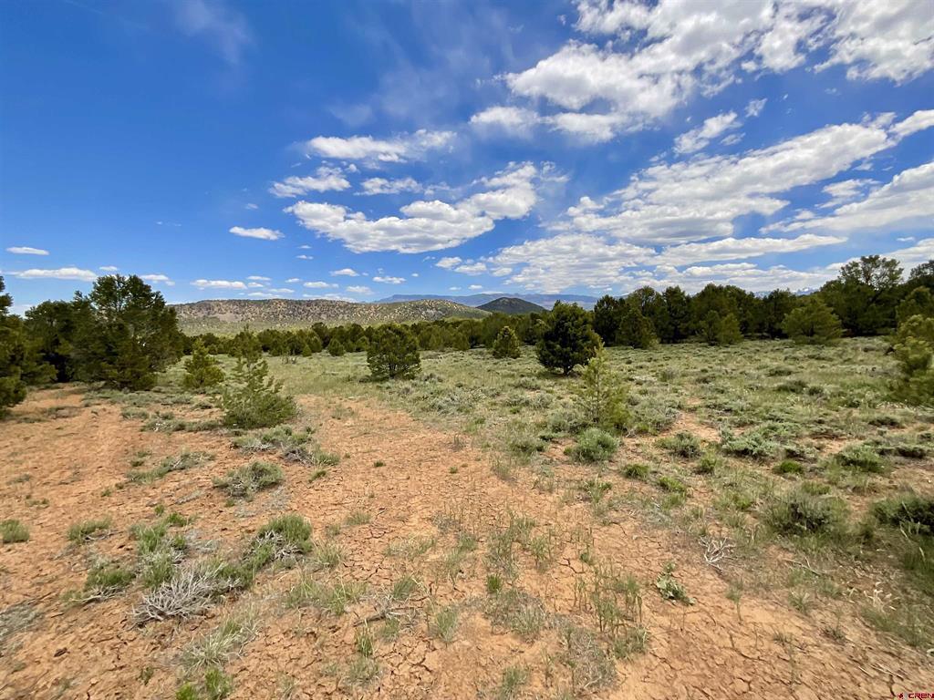 6101 County Road 1 Road Property Photo 6
