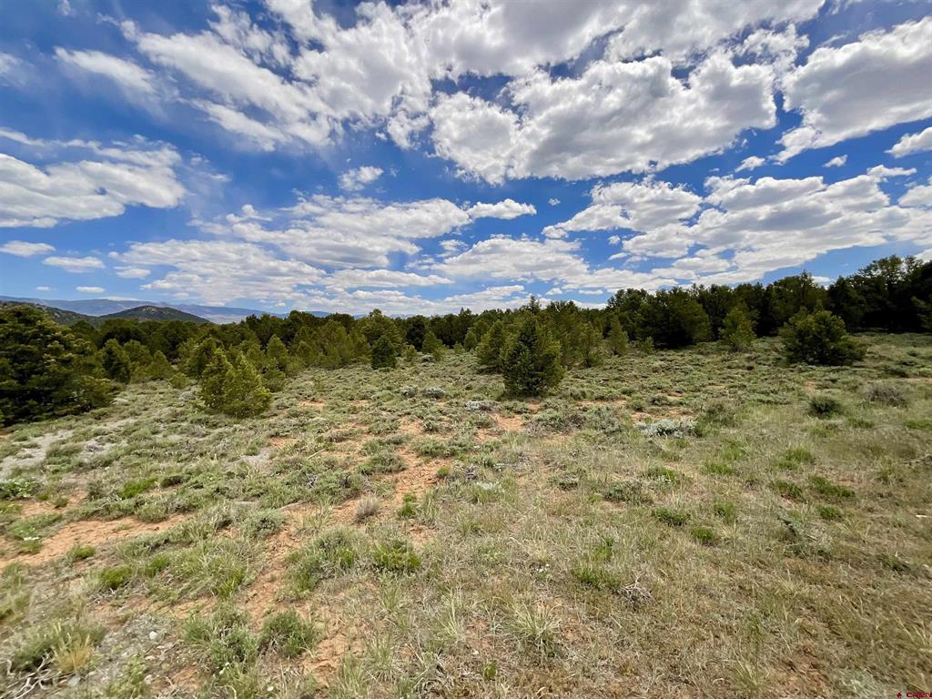 6101 County Road 1 Road Property Photo 7