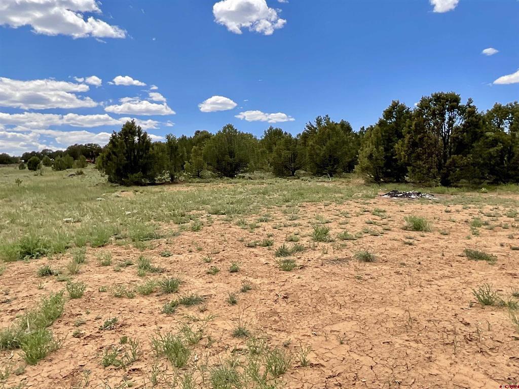 6101 County Road 1 Road Property Photo 8