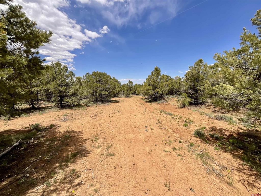 6101 County Road 1 Road Property Photo 11