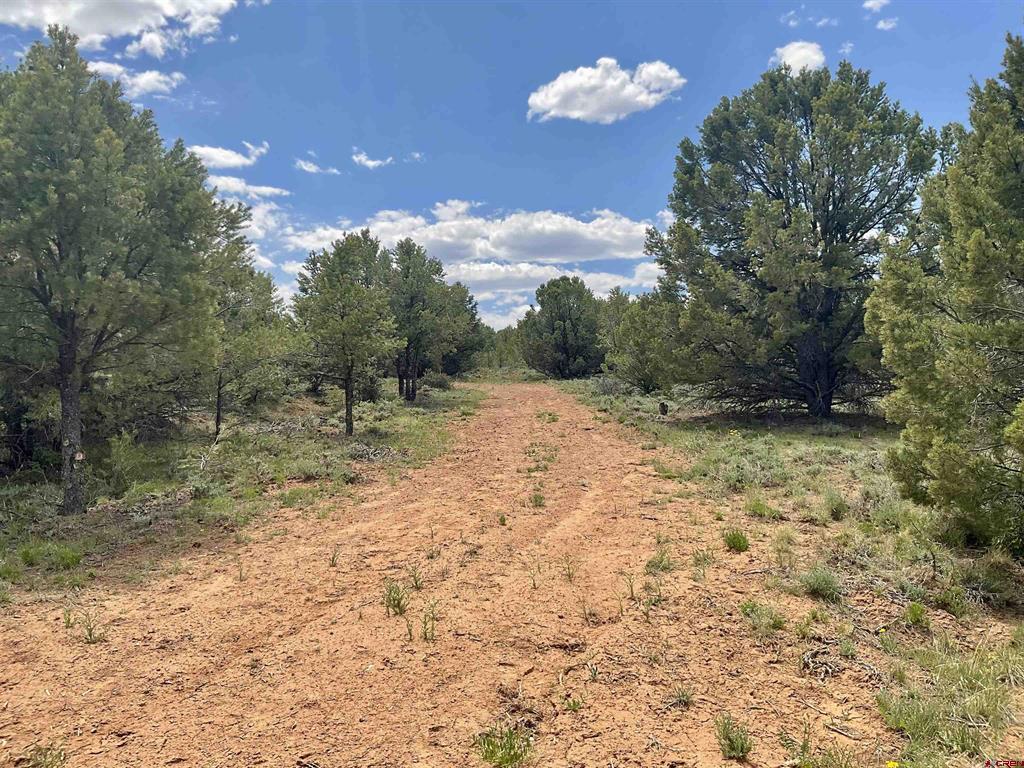 6101 County Road 1 Road Property Photo 15