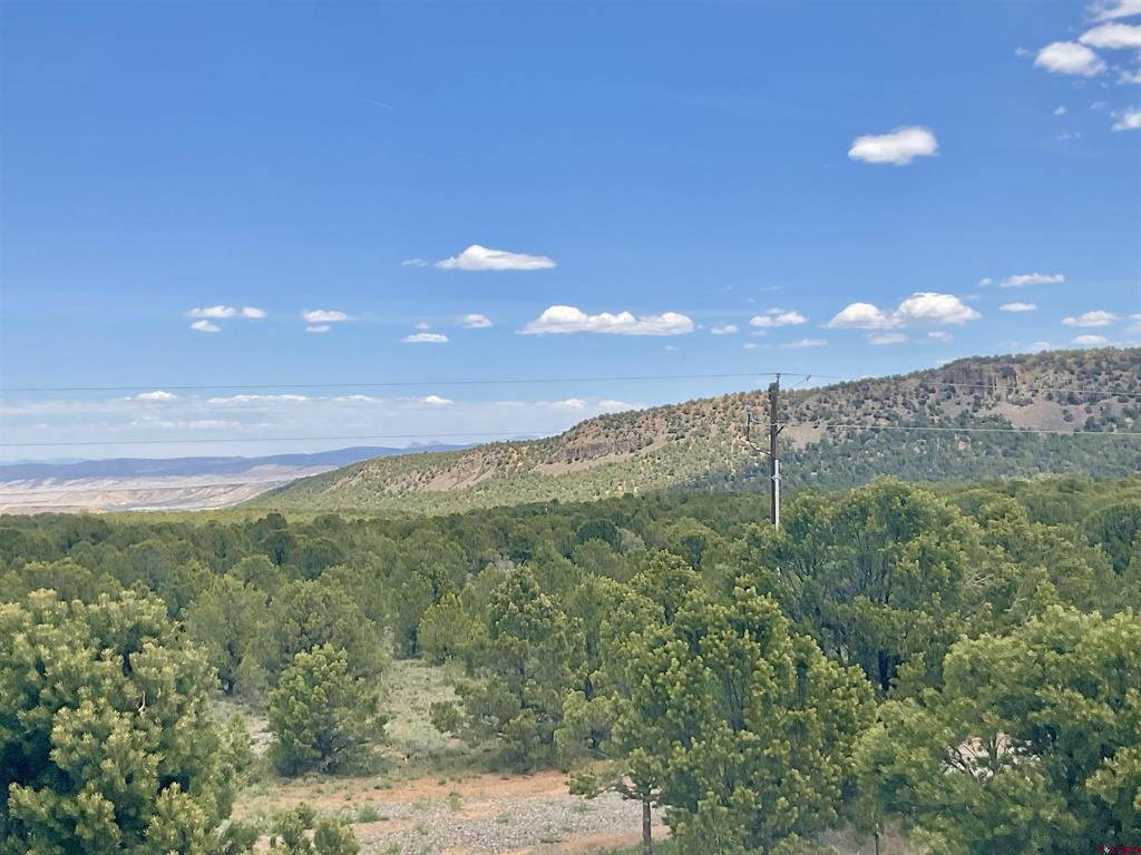 6101 County Road 1 Road Property Photo 16