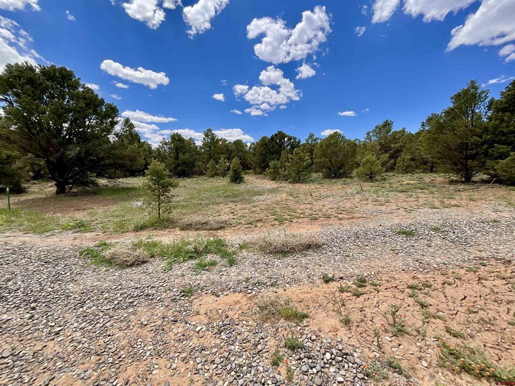 6101 County Road 1 Road Property Photo 20