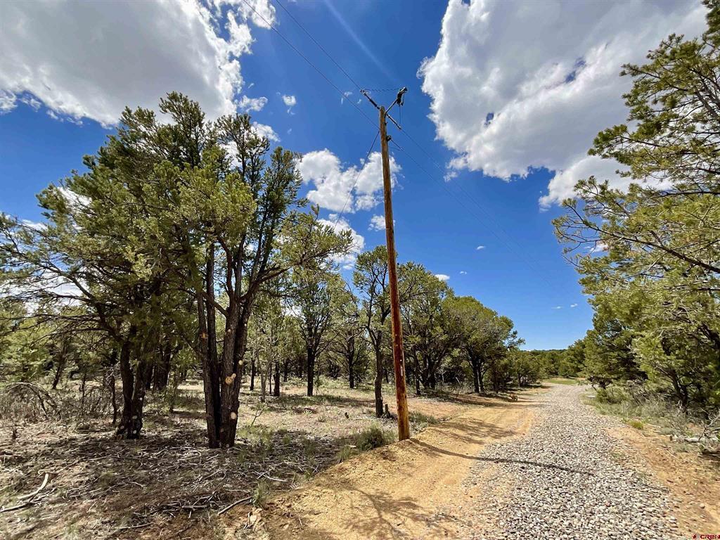 6101 County Road 1 Road Property Photo 21