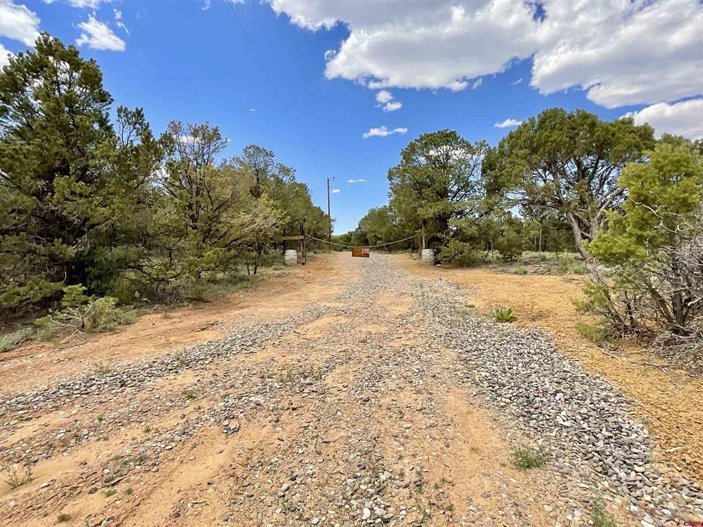 6101 County Road 1 Road Property Photo 22