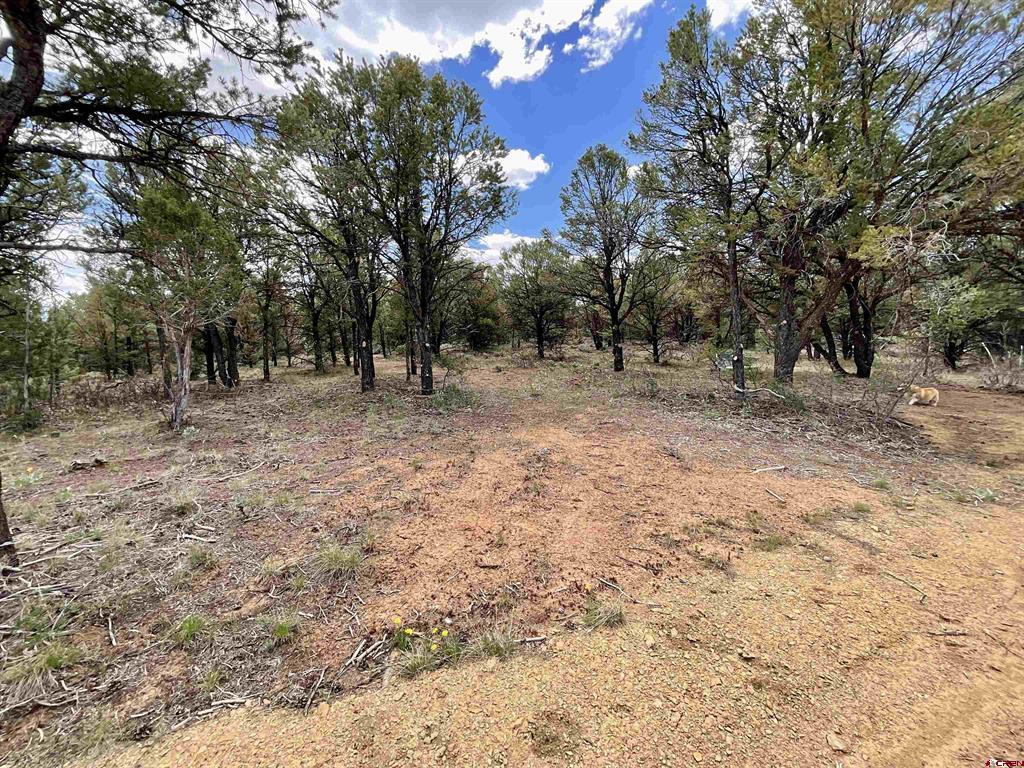 6101 County Road 1 Road Property Photo 23