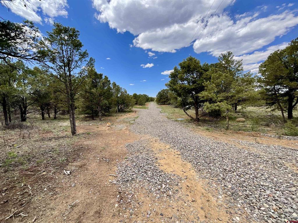 6101 County Road 1 Road Property Photo 24