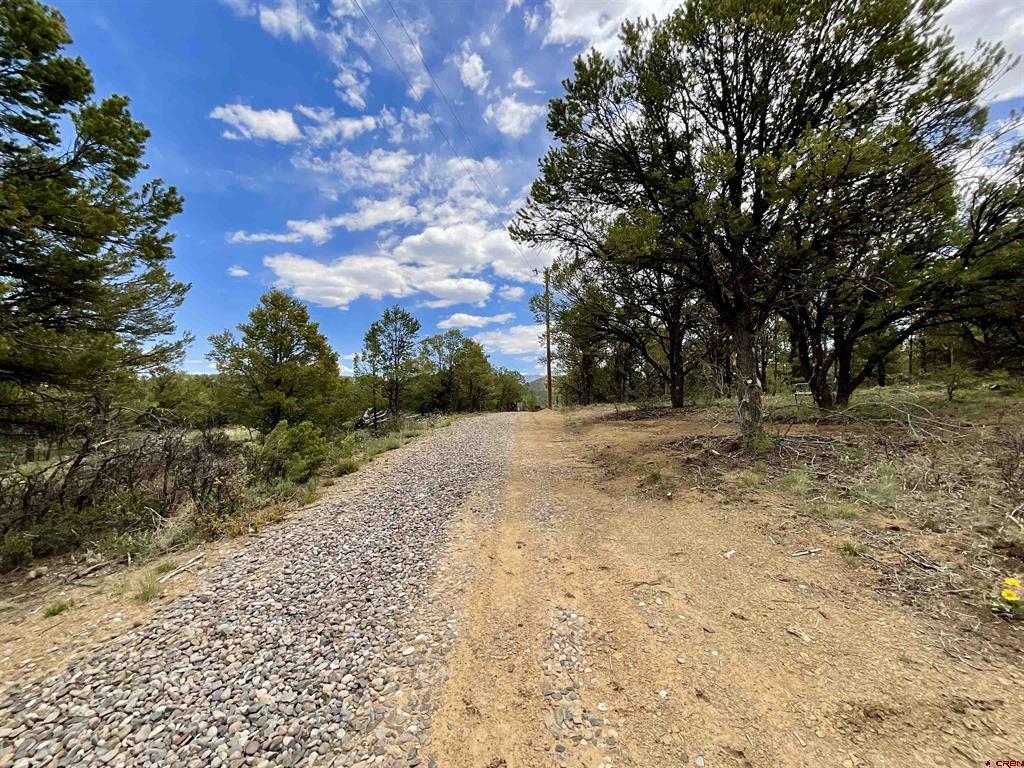 6101 County Road 1 Road Property Photo 25