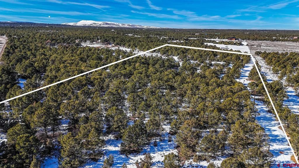 6101 County Road 1 Road Property Photo 28