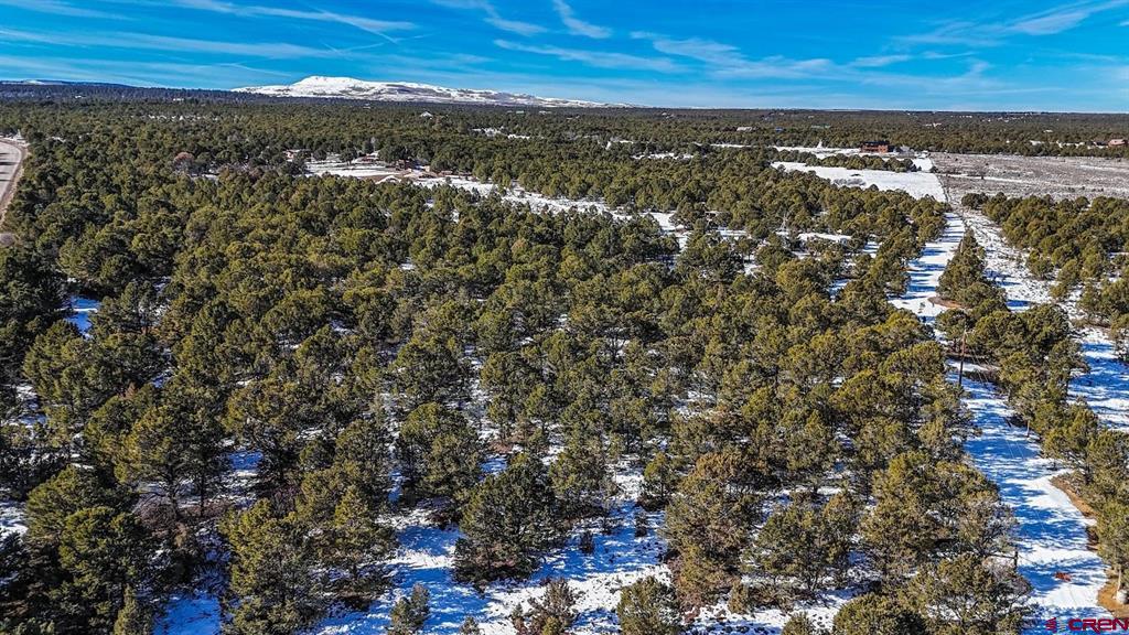 6101 County Road 1 Road Property Photo 29