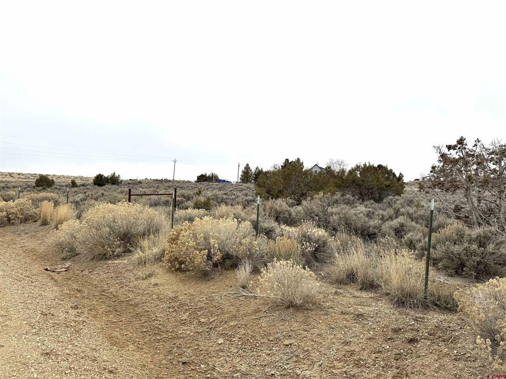 Tbd Highway 184 Property Photo 4
