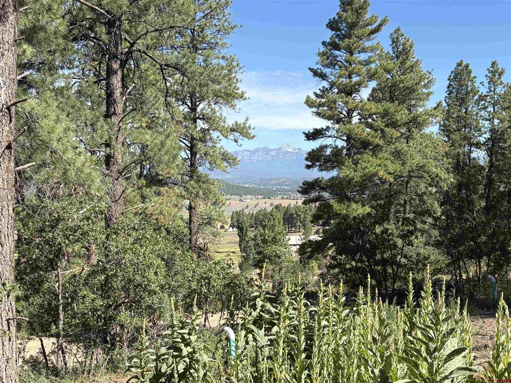 599 Pineview Road Property Photo 1