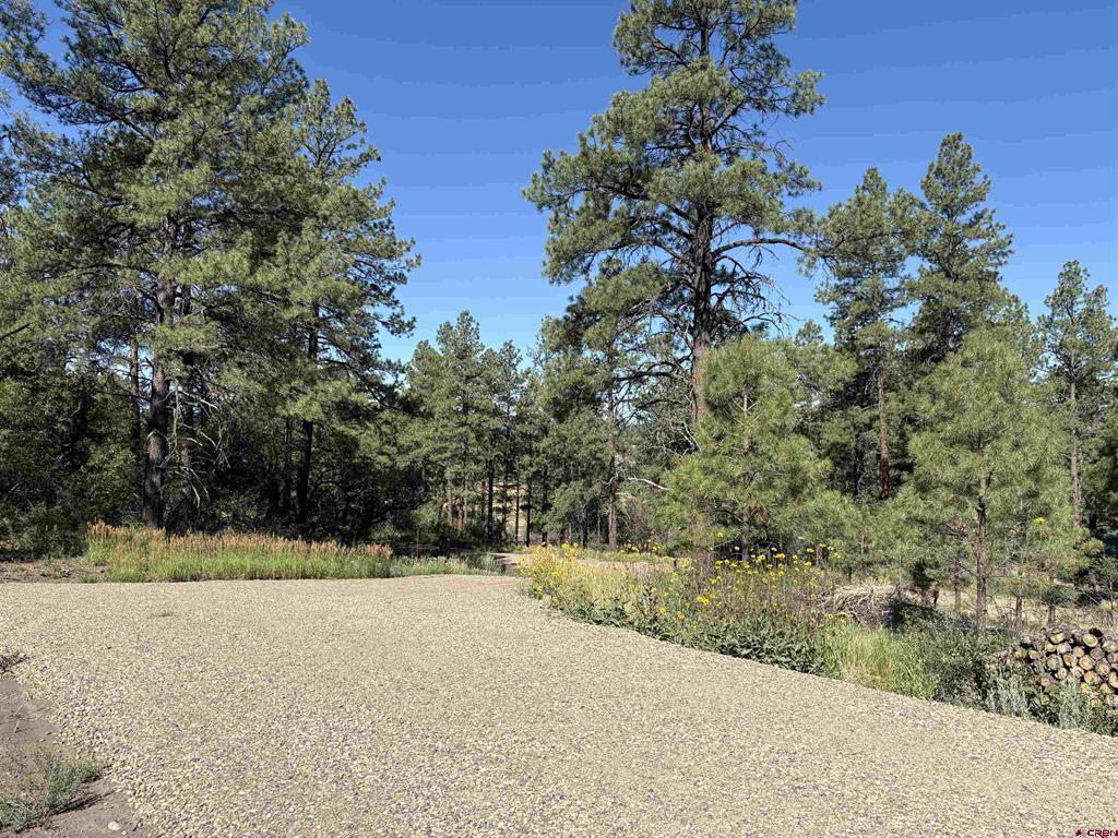599 Pineview Road Property Photo 2