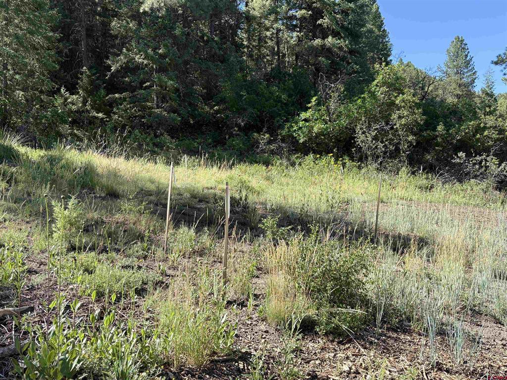 599 Pineview Road Property Photo 11