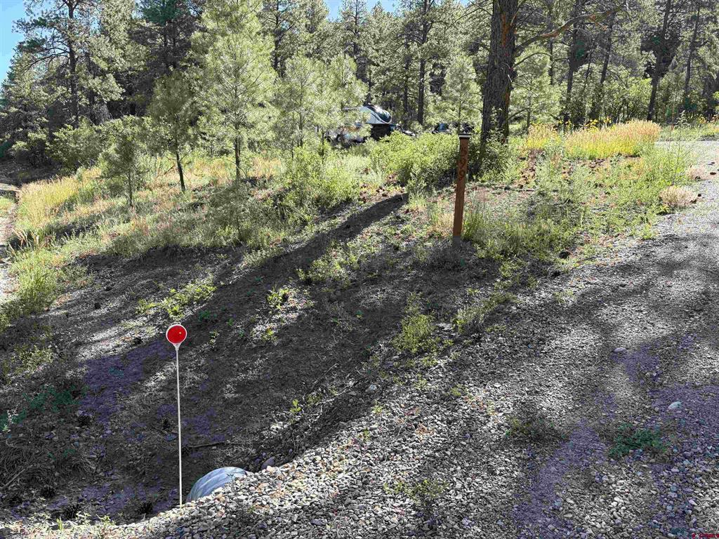 599 Pineview Road Property Photo 12