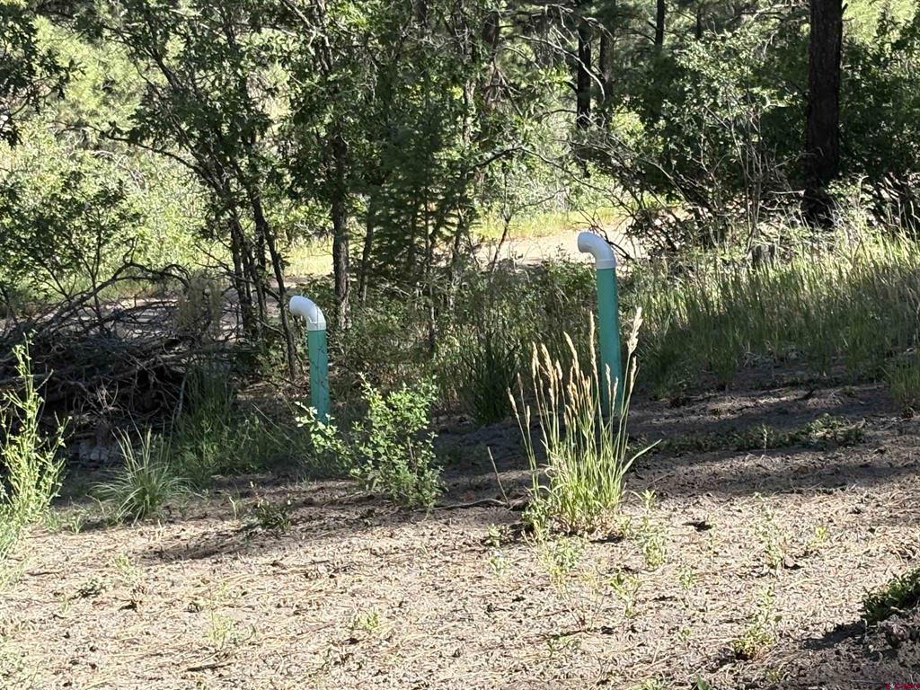599 Pineview Road Property Photo 15