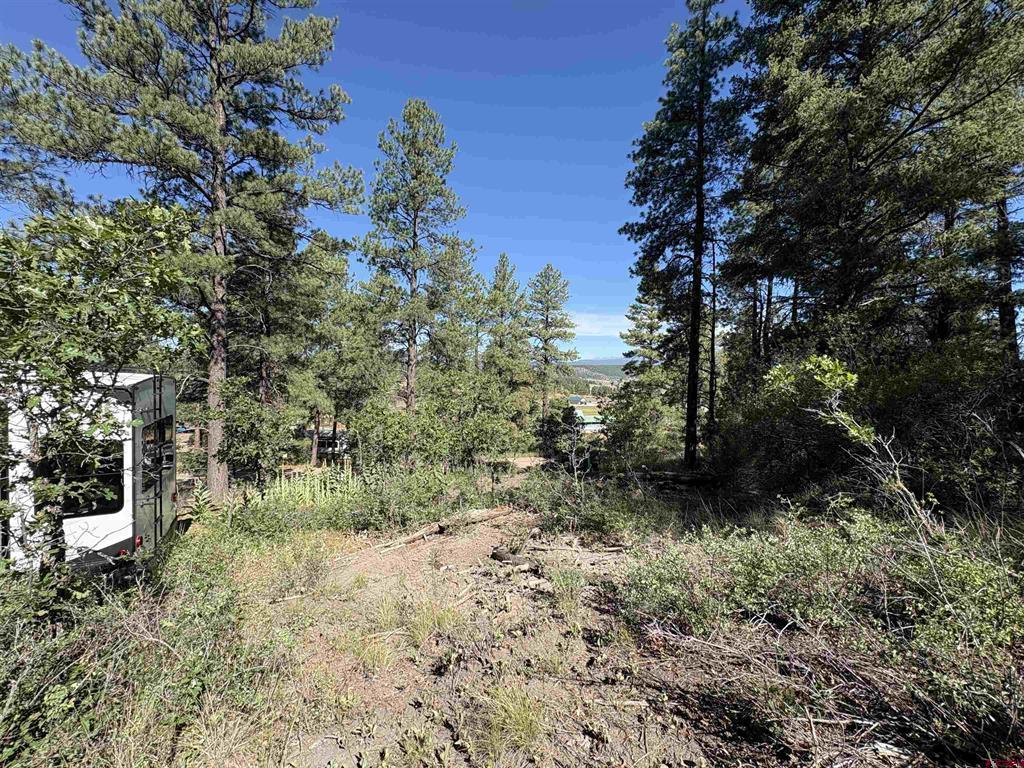 599 Pineview Road Property Photo 16