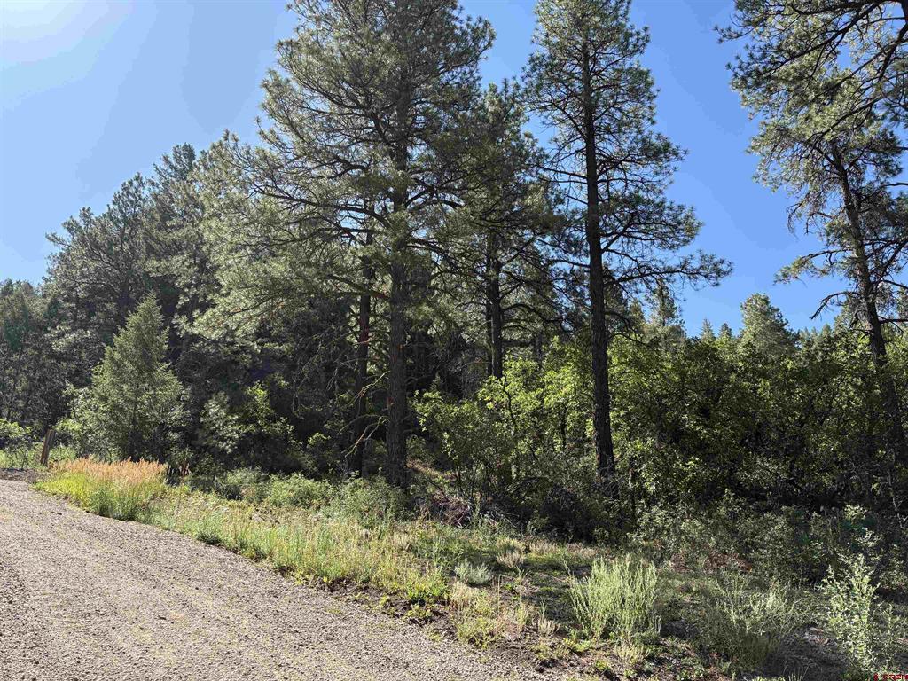 599 Pineview Road Property Photo 17