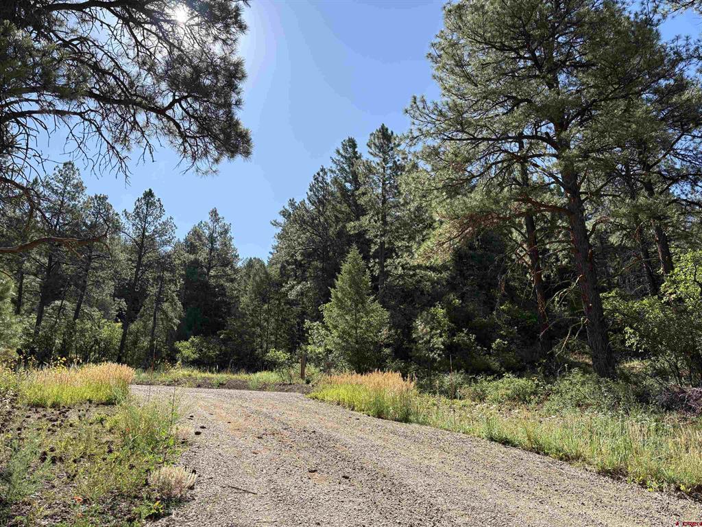 599 Pineview Road Property Photo 18