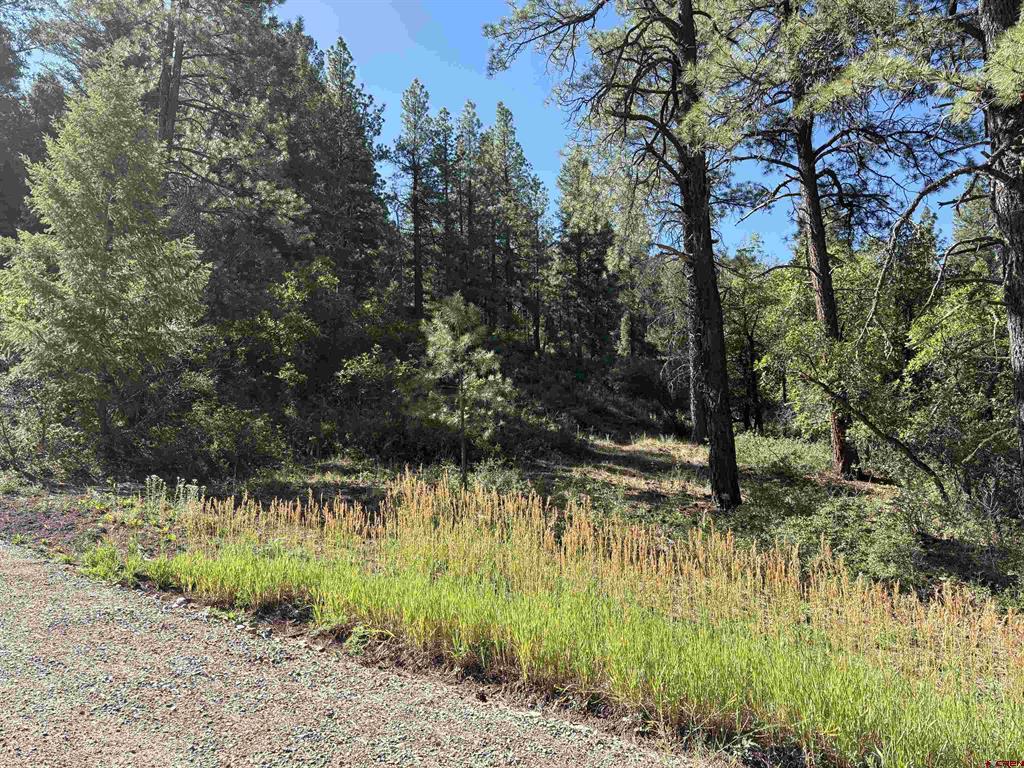 599 Pineview Road Property Photo 21