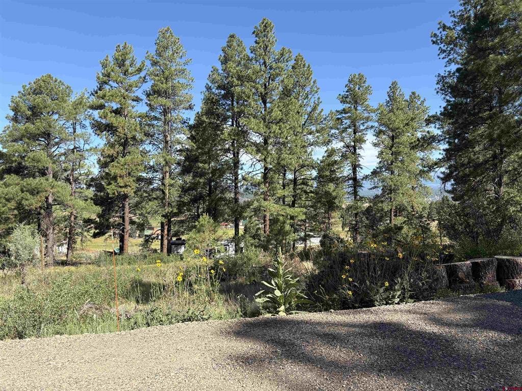 599 Pineview Road Property Photo 21