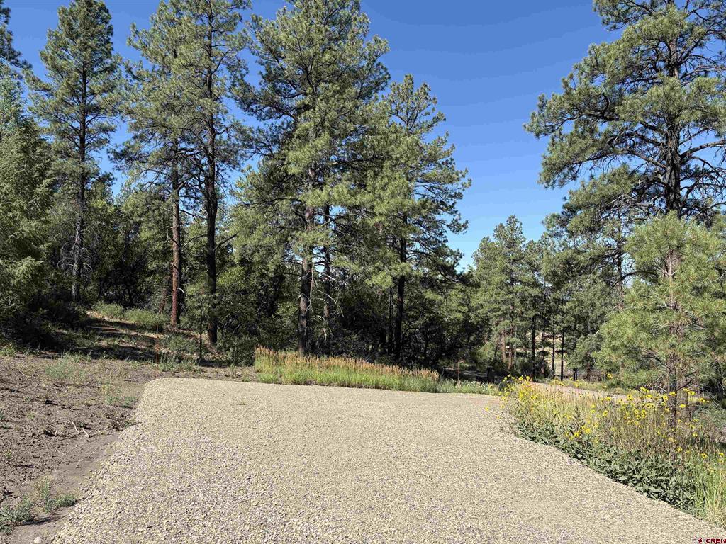 599 Pineview Road Property Photo 22