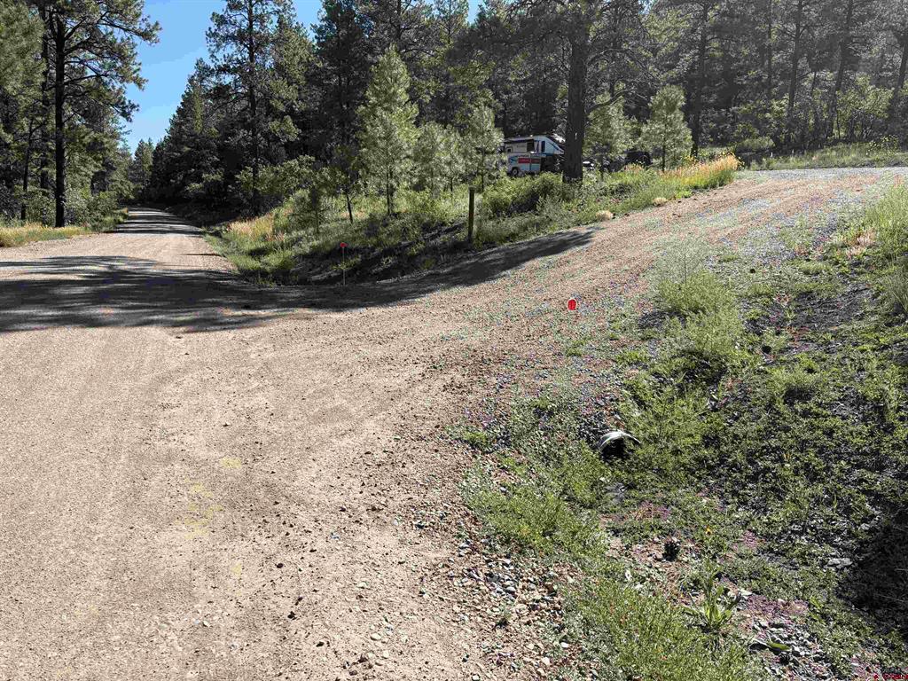 599 Pineview Road Property Photo 23