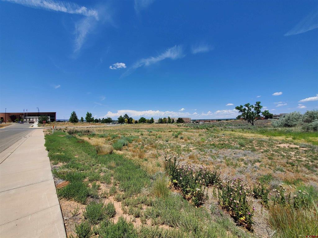 Tbd E Driscoll Street Property Photo 22