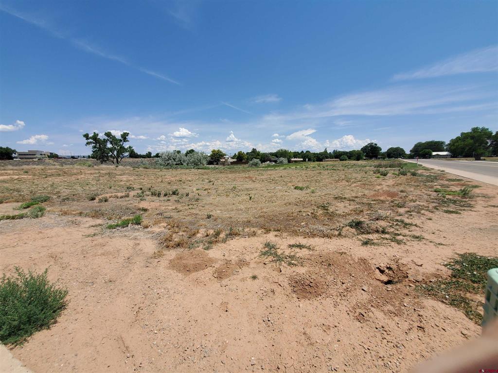 Tbd E Driscoll Street Property Photo 25