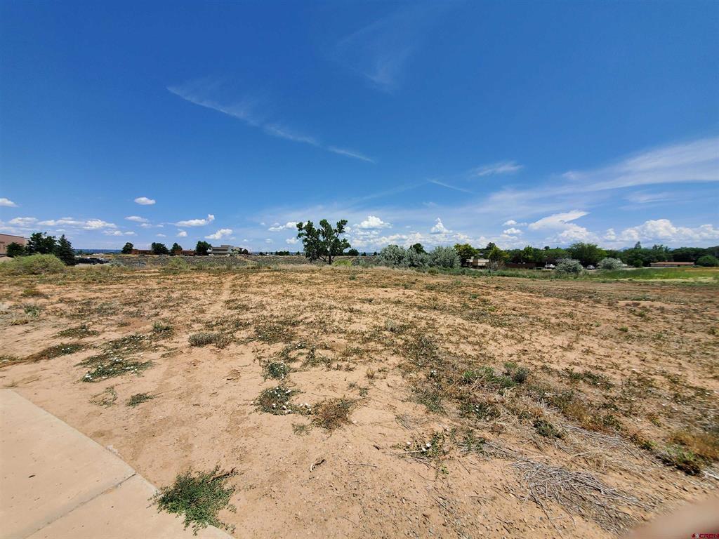 Tbd E Driscoll Street Property Photo 26