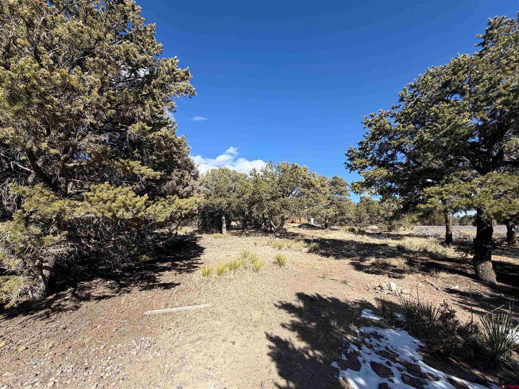 390 Cameron Pass Road Property Photo 1