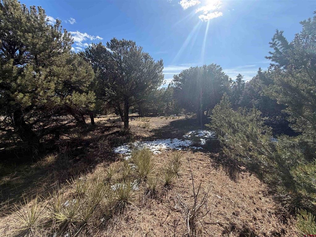 390 Cameron Pass Road Property Photo 2
