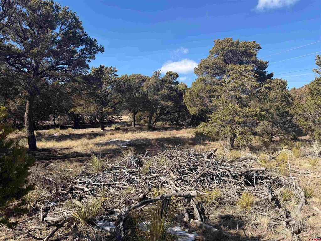 390 Cameron Pass Road Property Photo 3