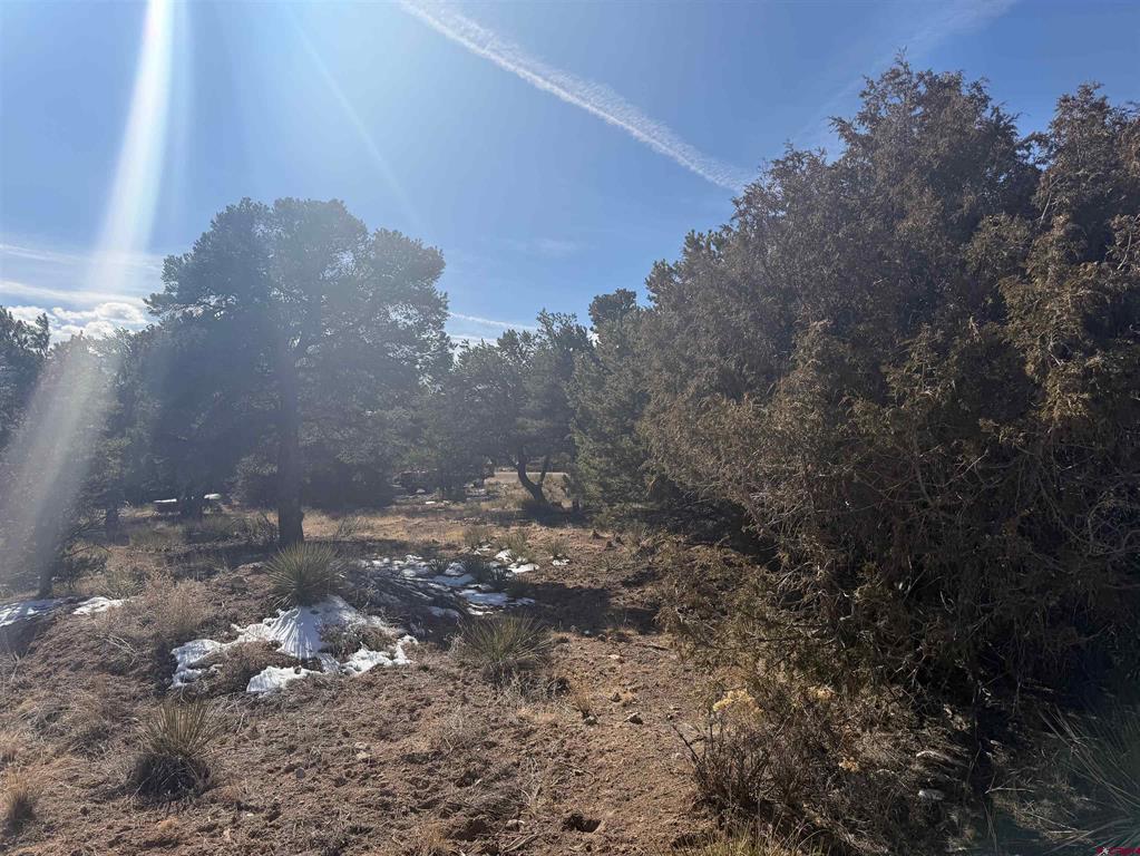 390 Cameron Pass Road Property Photo 4