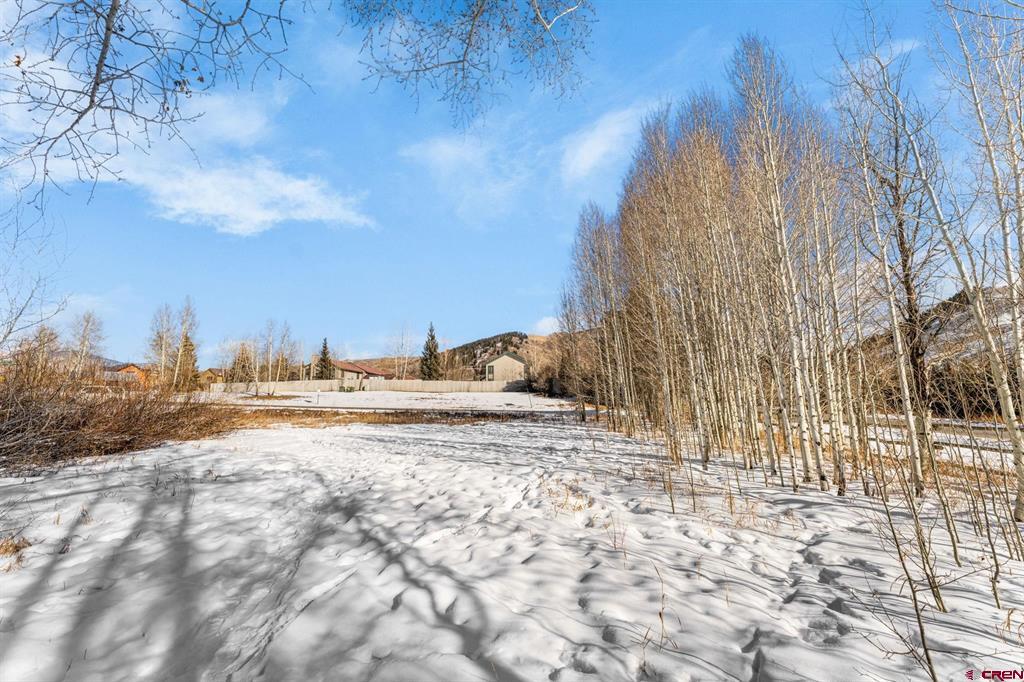 147 Cement Creek Road Property Photo 16