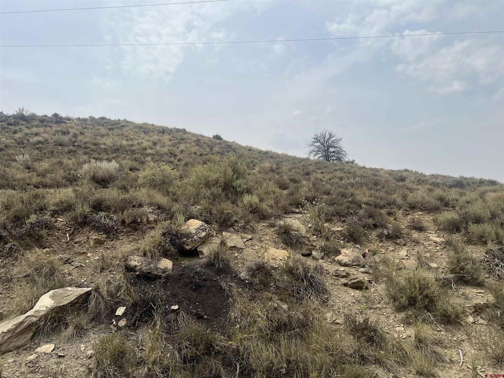 Tbd N Highway 491 Property Photo 3