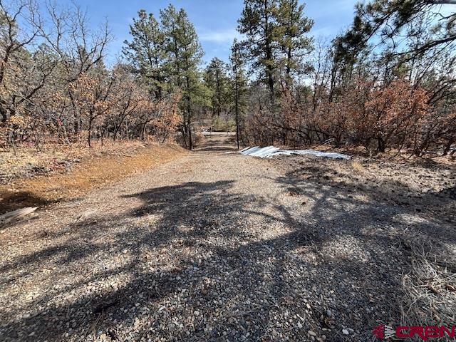 2308 Bull Elk Place Property Photo 1