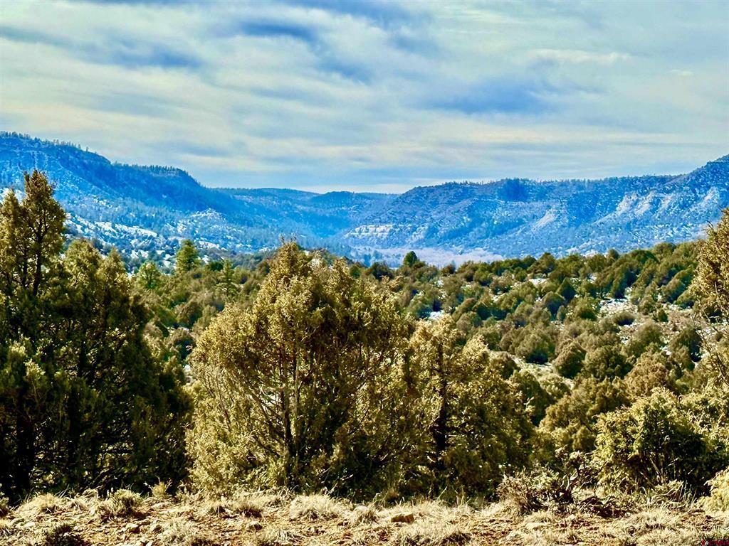 Lot 13 S. Rockcliff Circle Property Photo 10
