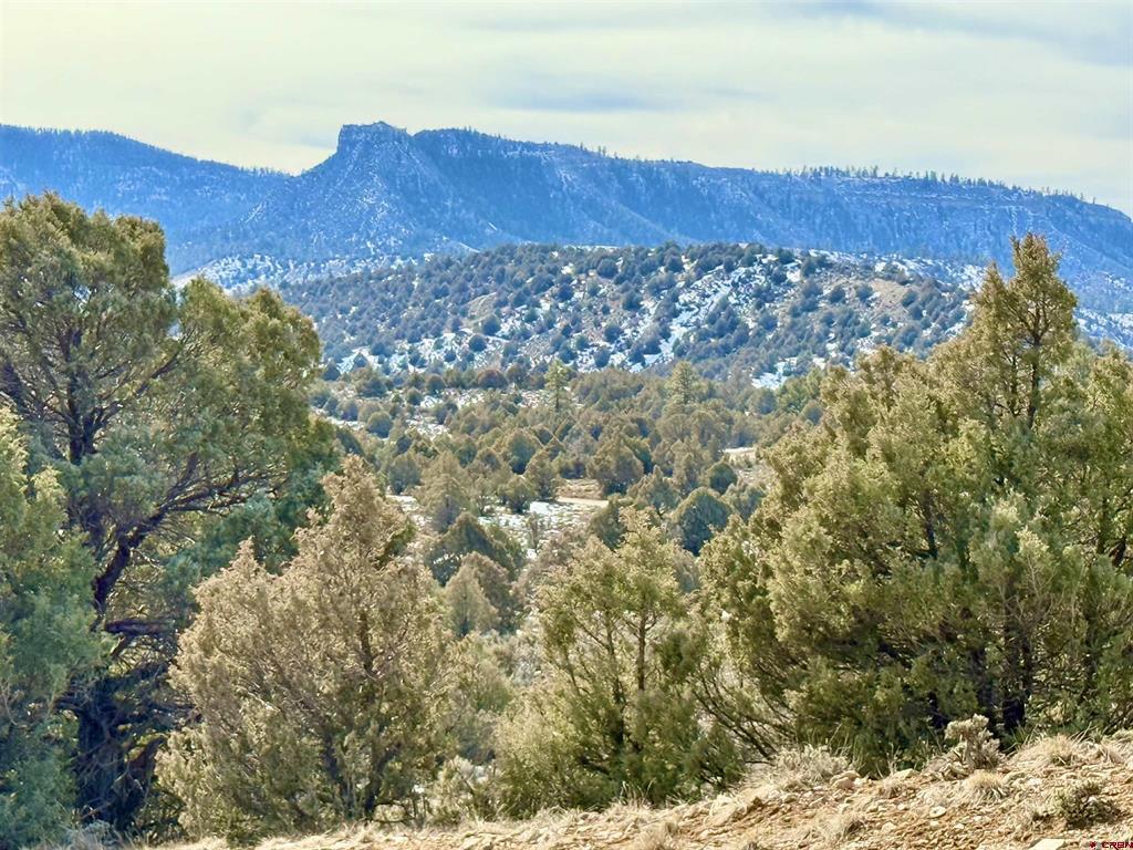 Lot 27 Riverview Drive Property Photo 11