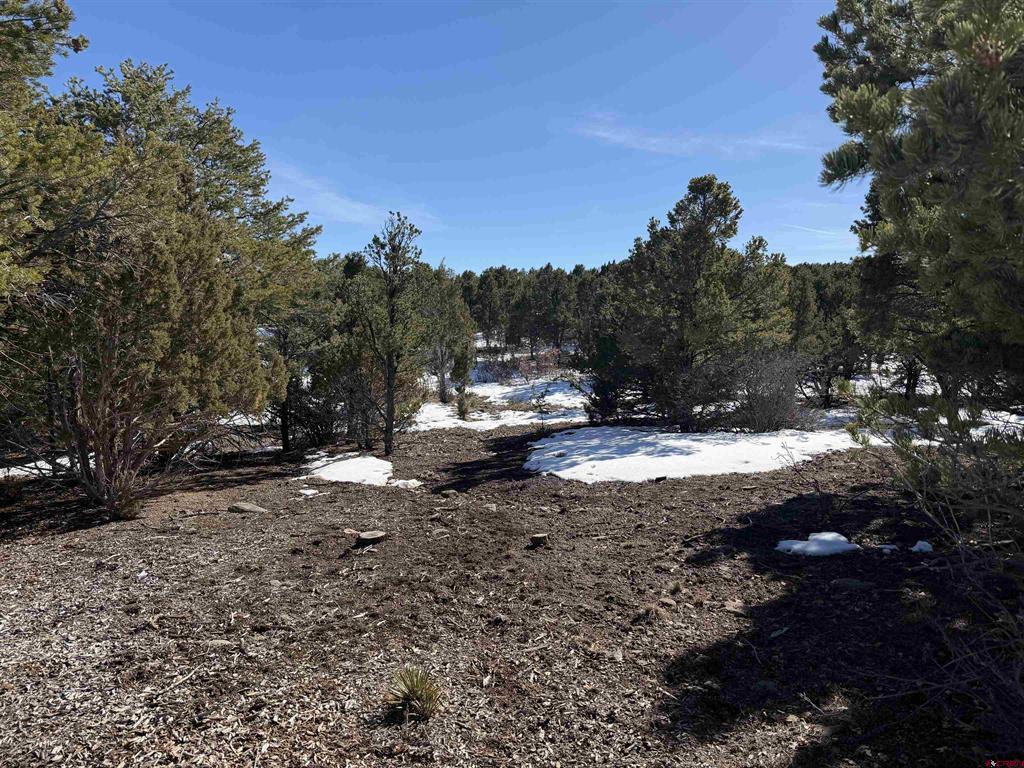 Tbd Pine Drive Property Photo 21