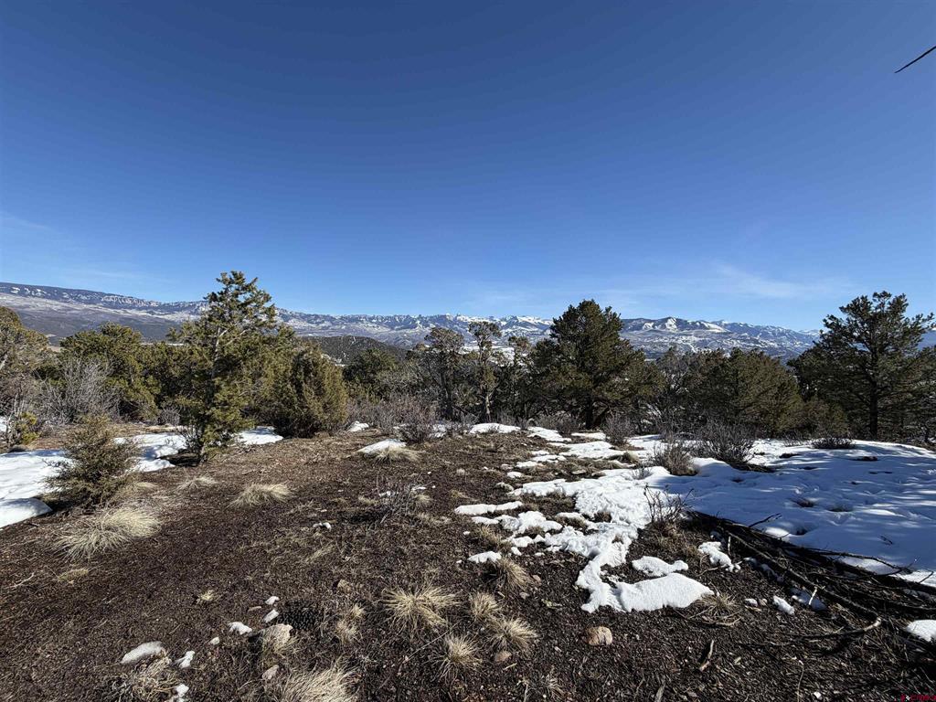 Tbd Pine Drive Property Photo 34