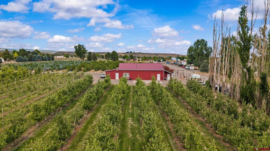 20813 Nowhere Road Property Photo 40