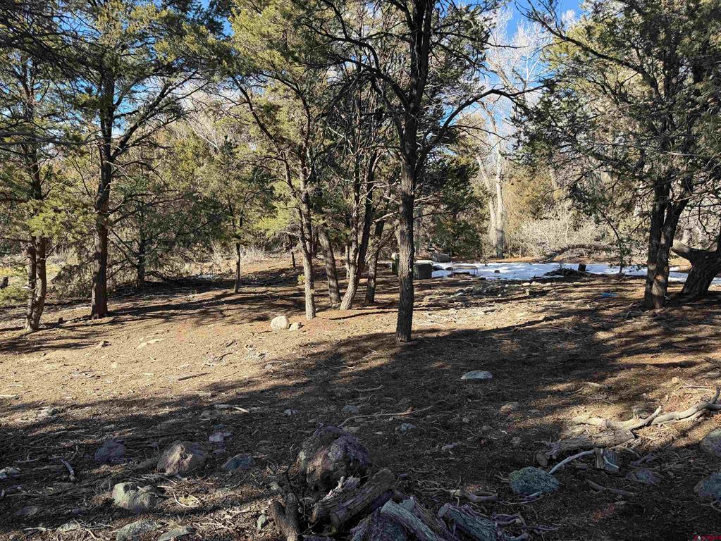 3899 Rarity Way Property Photo 6